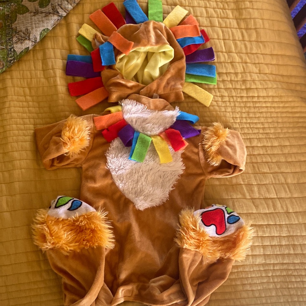Rainbow 🌈 Lion 🦁 baby/toddler costume